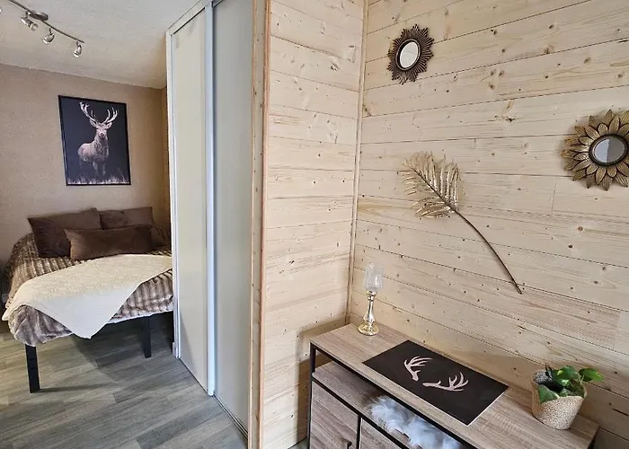 Appartement Centre-Ville